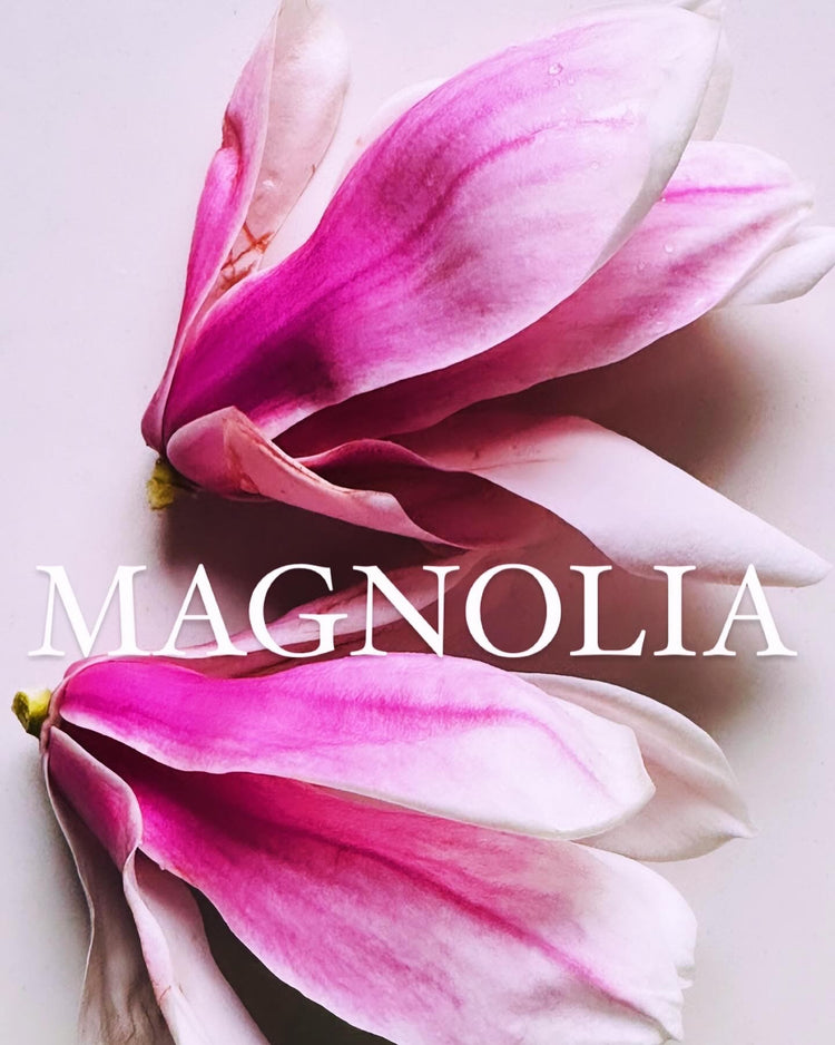 Magnolia thee