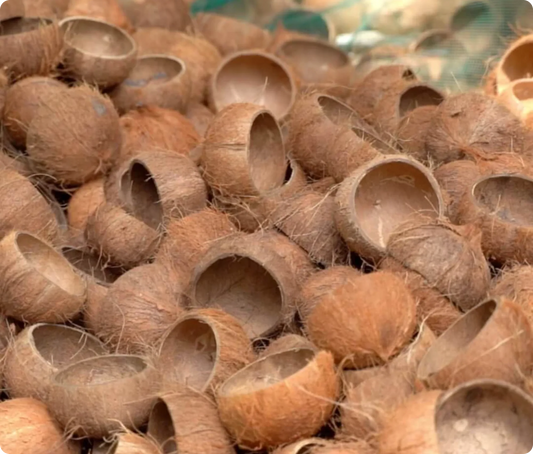 Coconut bowl - Yin Yang XL